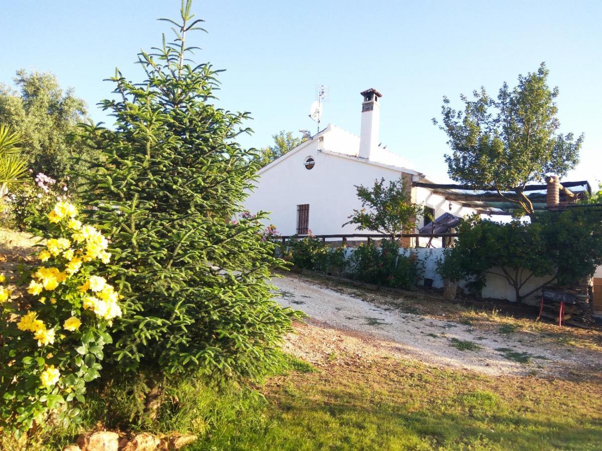 Casa Rural Bellavista Ronda Exterior foto